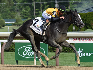 Counting Stars brilló en Saratoga y destronó a Always a Runner en el Acorn