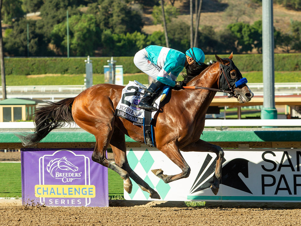Hughes salió intacto de su exhibición y ya apunta a la Breeders’ Cup Juvenile