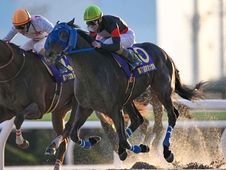 Diktaean hizo historia en el Tokyo Daishoten y devolvió el protagonismo al circuito NAR