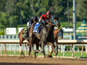 En el Las Flores Stakes, Ooty voló en el final y dejó una buena impresión