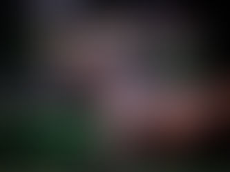 Con su camada final, Equal Stripes sumó otro precio máximo, en la Copa Bullrich Abril