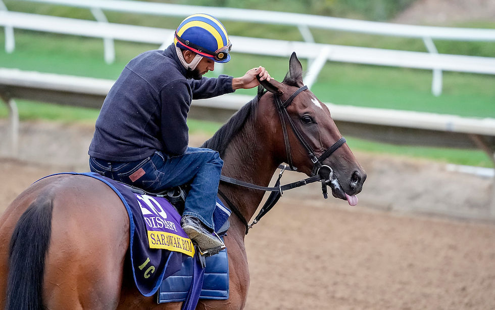 Firmamento toca el cielo de la mano de Sarawak Rim en la Breeders’ Cup