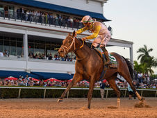 Skippylongstocking vs. Baeza, en una versión espectacular del Alysheba Stakes