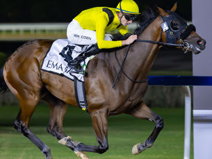 El Al Maktoum Mile y el Al Rashidiya sobresalen en el viernes imperdible de Meydan