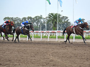 El Resero Con Capa Scares You from the Paddock and Finishes You on the Track
