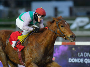 Ataka se afirmó en Palermo y sumó su mejor éxito