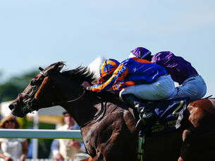 Causeway confirmó su progresión y le dio otro triunfo grande a Ballydoyle en Royal Ascot 2026