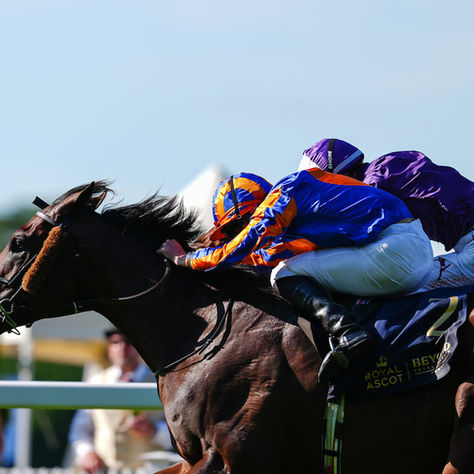 Causeway Confirmed His Progression and Gave Another Grand Triumph to Ballydoyle at Royal Ascot 2026
