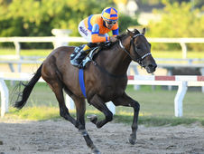 Potrillazo y Dorian Gray, handicaps con nombres de G1 de por medio