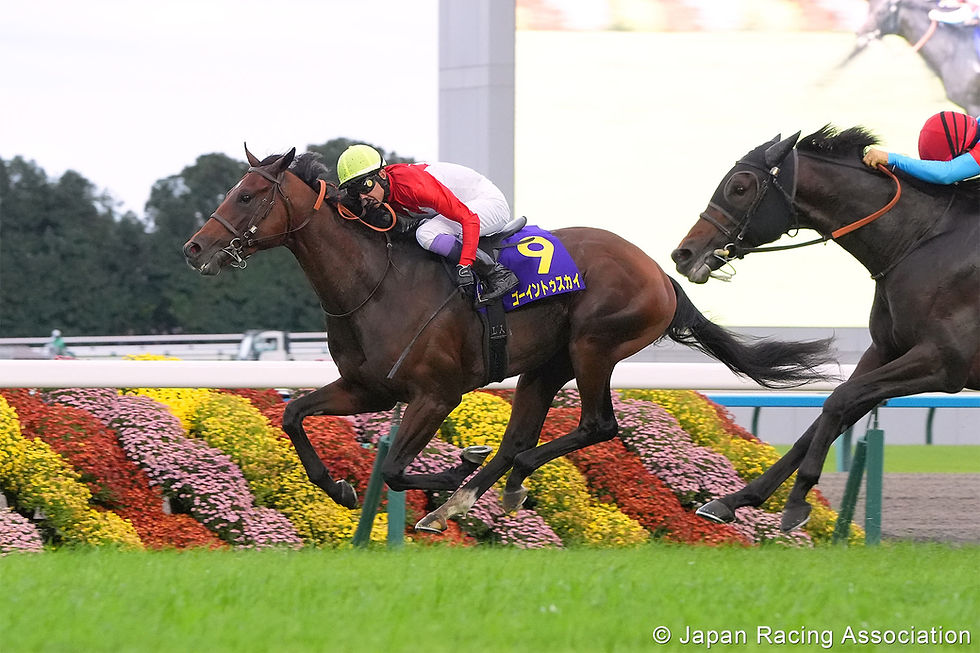 Going to Sky y el eterno Yutaka Take dejaron a Lovcen sin Triple Corona en Japón