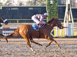 Priola Delivers Complete Joy for Gustavo Scarpello at Palermo