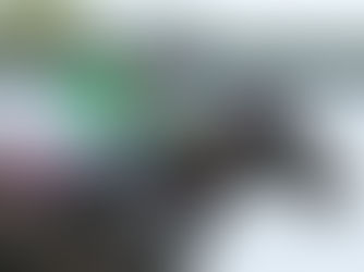 Maggie Go inicia su campaña en Estados Unidos y parte como favorita en el Eatontown Stakes