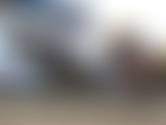 The Puma tenía el Florida Derby en sus manos, pero apareció Commandment...