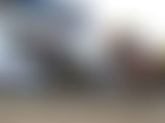 The Puma tenía el Florida Derby en sus manos, pero apareció Commandment...