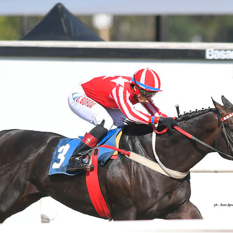 Bestial y My Pride bajaron a la intermedia para ganar por segunda vez