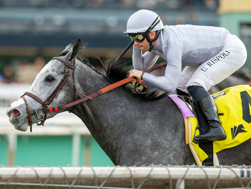 Ag Bullet vuelve a Saratoga para defender la corona en el Jaipur Stakes