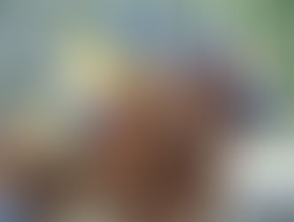 Ooty busca recuperarse en un renovado Las Flores Stakes