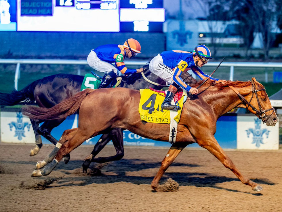 Paladin dominó el Risen Star y lidera en la carrera hacia el Kentucky Derby