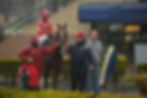 Sabiyano Secures Another Stakes Victory at El Bosque / HLP