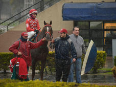 Following a collapse in final declarations, there will be changes for next week at La Plata