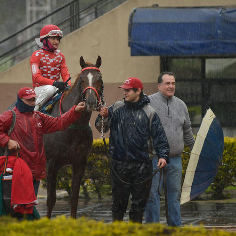 Following a collapse in final declarations, there will be changes for next week at La Plata