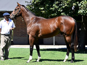 Doble Apuesta fue precio máximo en la Venta Selecta de Vacación