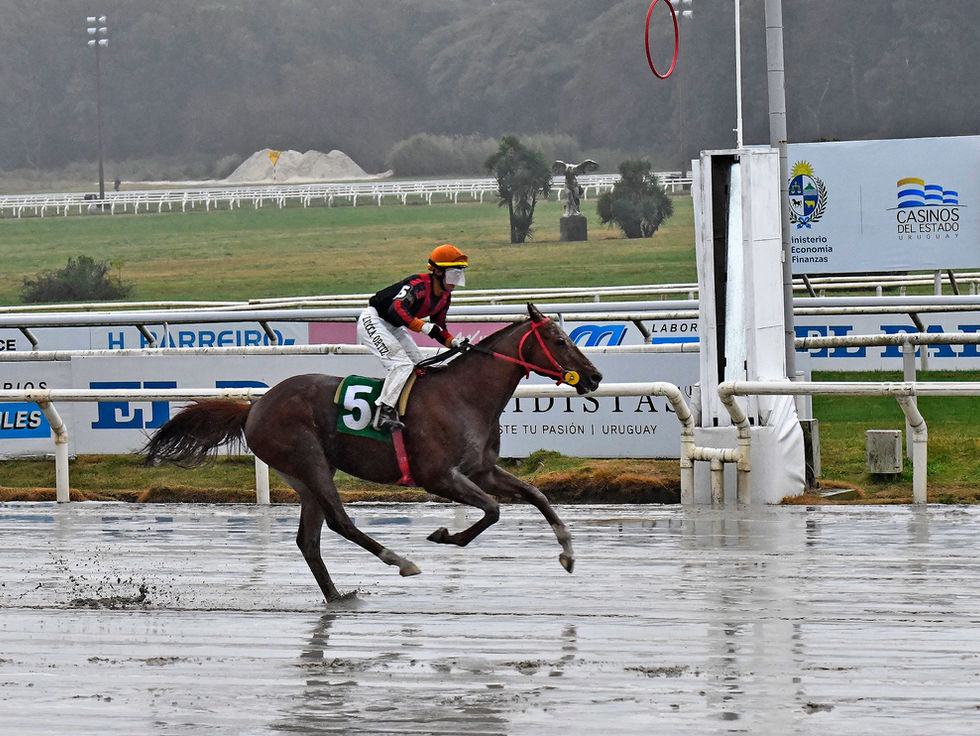 Siempre Happy and Osmidas Secured a 1-2 Finish in the Handicap Pastor Victorica