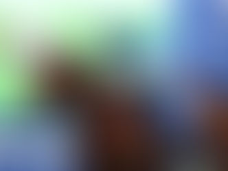 Romantic Warrior, un emperador sin límites en Sha Tin