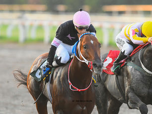 En un final de ensueño, pudo más Spicy Vibe