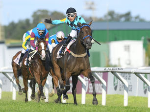 With Charm Absent, Knows All Was Dominant in the Gran Premio Copa de Plata