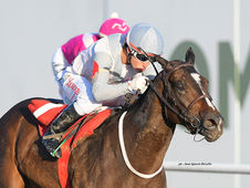 Mi Negra Paula Aims for Another Strong Victory