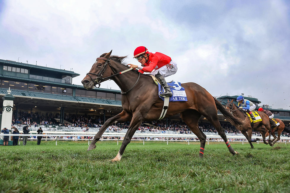 Tam Tam led all the way to capture the Queen Elizabeth II and secure her second G1 victory