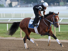 Mystik Dan y Jonathan’s Way, las nuevas cartas de Airdrie Stud para 2026