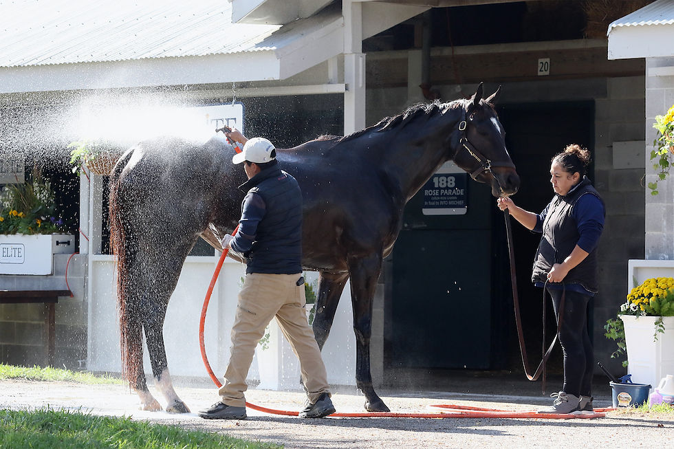Keeneland November Surpasses $189 Million, Up More Than 30% Year-Over-Year