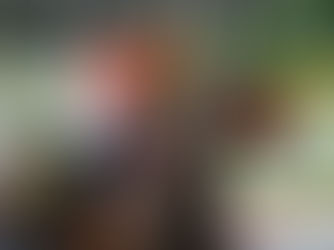 Kravitz debutó ganando sobre 2000 metros y dejó gran impresión