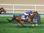 Francisco Leandro, o cuando el éxito no se mide solo por los números