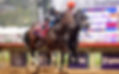 Straight No Chaser ganando el último Breeders' Cup Sprint / BREEDERS' CUP
