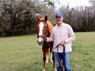 Maritime Traveler, el último hijo de Secretariat, galopa ahora en el cielo