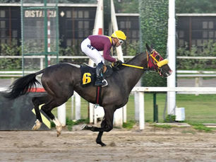 El Emporio y otro notable triunfo en la distancia de Palermo, para afirmarse...