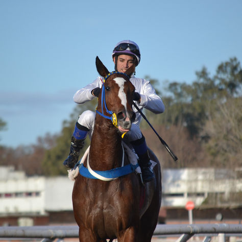 Temper Bomb Stunned the Field in the Especial Micénida