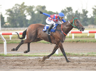 Vespaciano, or when class has no expiration date