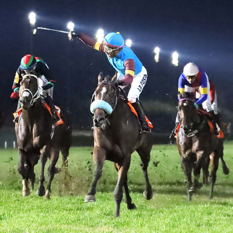 Neat Colt pulled off a surprise upset in the Estrellas Classic, rising to the top of the division