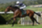 Encedalus fue terminante / GOODWOOD