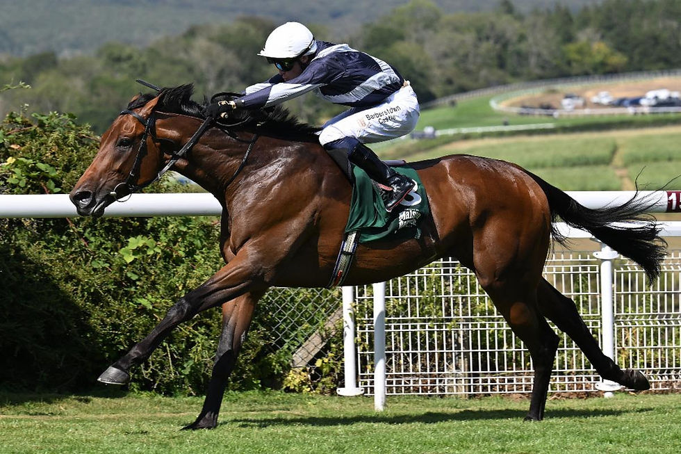 Encedalus was tremendous / GOODWOOD