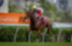 Ka Ying Rising, imparable en la velocidad / HKJC