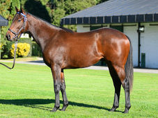 The 10 Maxfield offspring carrying the hopes of Firmamento Racing