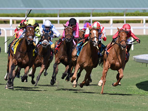 Ayra Stark y un gran segundo puesto en el Cristophe Clement Stakes de Gulfstream