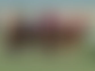 Ayra Stark y un gran segundo puesto en el Cristophe Clement Stakes de Gulfstream