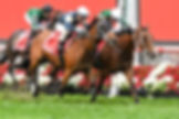 Inside, Via Sistina put her head in front / MOONEE VALLEY