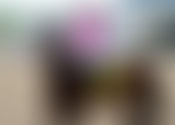 El jockey argentino Jorge Ruiz Díaz y un regreso redondo a Laurel Park: 2 triunfos clásicos